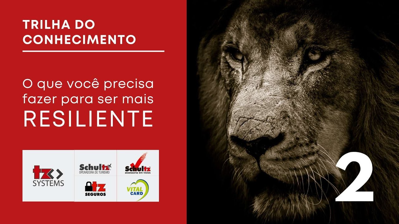 TZ Systems: O que voc&ecirc; precisa fazer para ser mais resiliente - parte 2