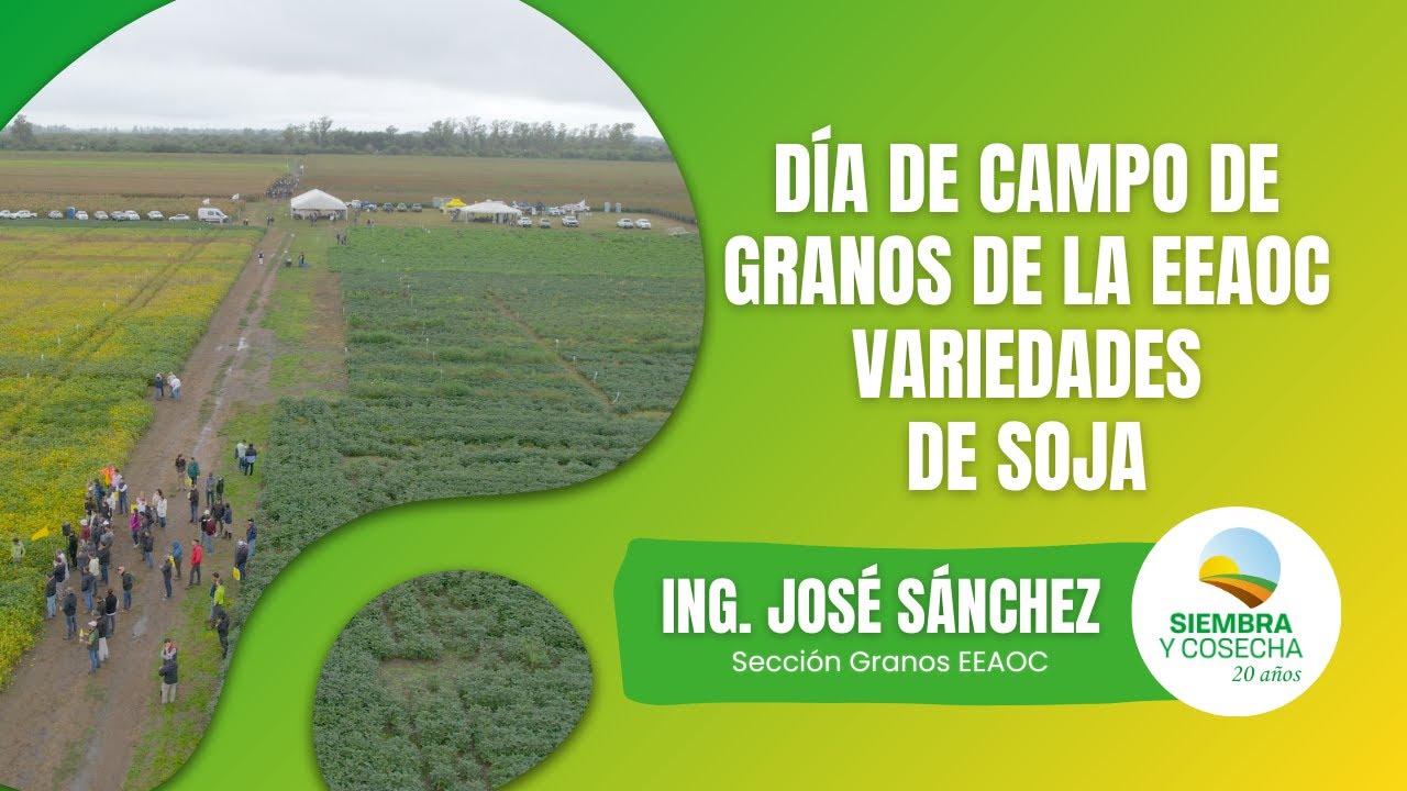 SIEMBRA Y COSECHA TV: Variedades de soja en el día de campo de la EEAOC