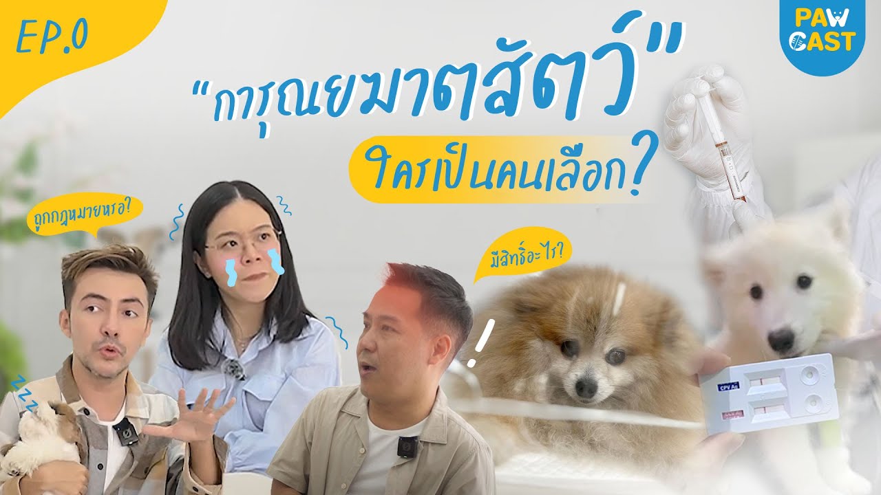 การุณยฆาตสัตว์ ใครเป็นคนเลือก?! l PAWCAST EP.0