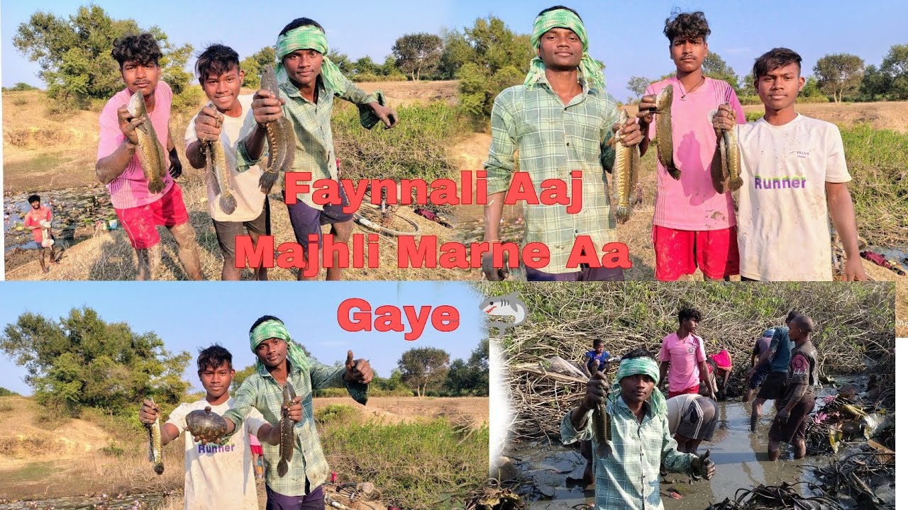Faynnali Aaj Machhali Marne Aa Gaye 🦈🦈#Subhash Md vlogs 🔥