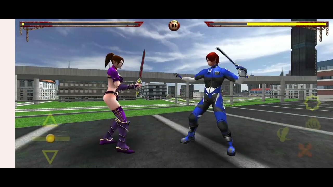 Fight with Sword Master 