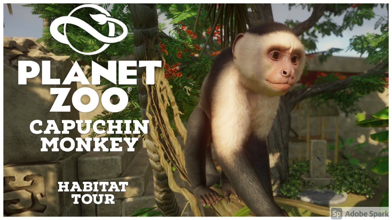 Planet Zoo: Capuchin Monkey Habitat Tour