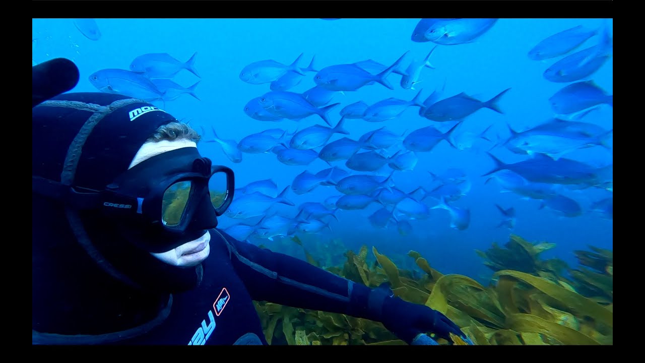 Spearfishing Northland (NZ) Amazing Winter diving + Catch 'n' Cook (PART- 1)