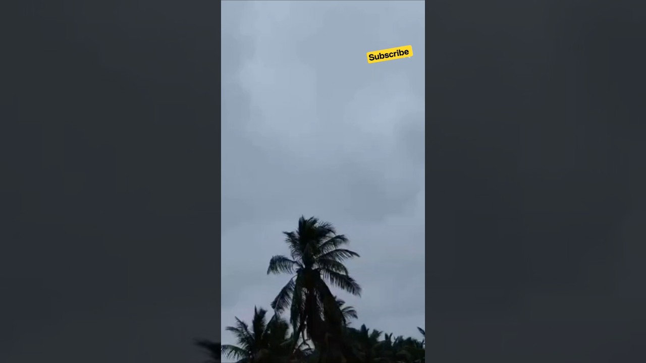 నీకోసం యేసయ్య...