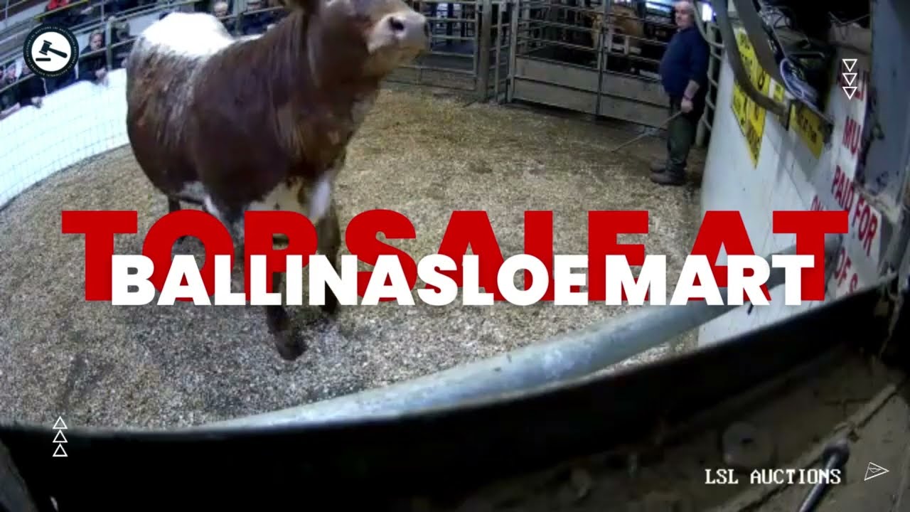 €3570.00!!! Ballinasloe Mart Top Sale