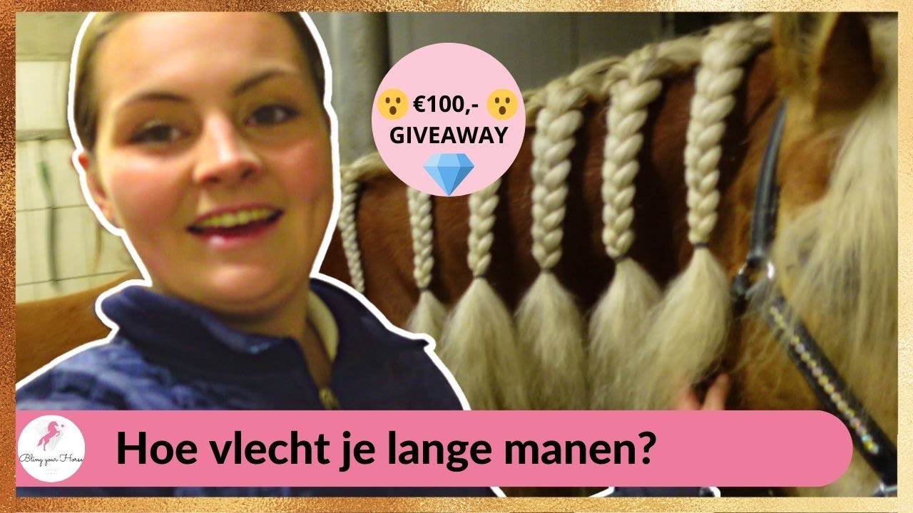 Hoe VLECHT je lange manen van een HAFLINGER? & Alweer een Bling Your Horse FOTOSHOOT