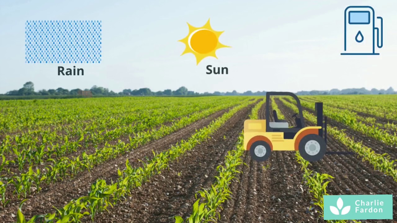 Systems Thinking - How Population Increase and Food Production are Interconnected.