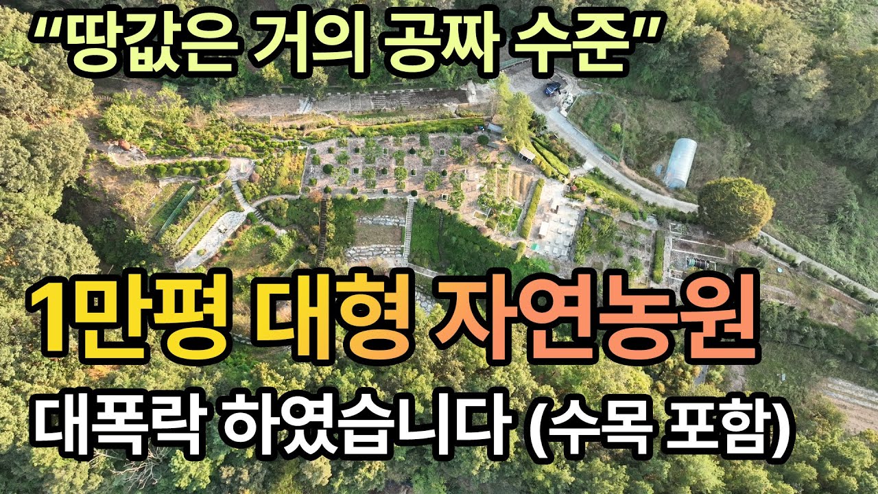 1만평 대형 자연농원이 대폭락 하였습니다 (수목 포함)