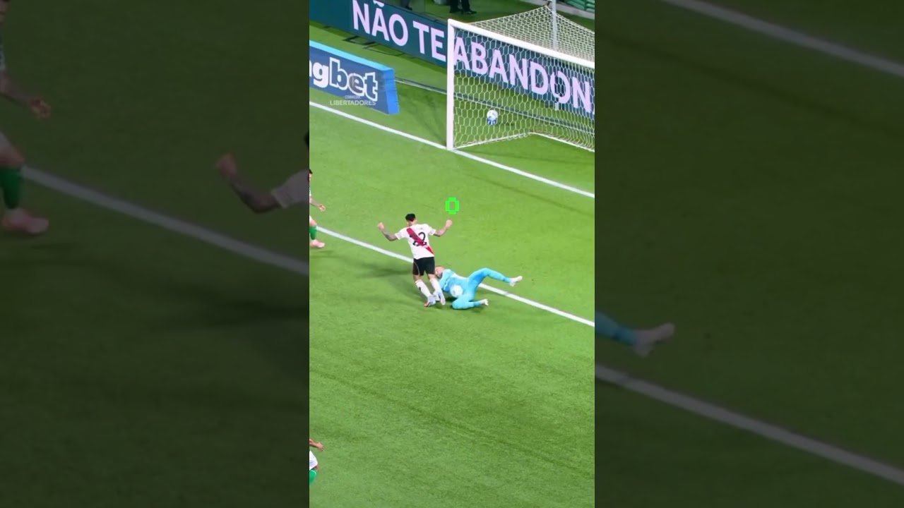WEVERTON SAI PELA PORTA DA FRENTE DO VERDÃO !!!