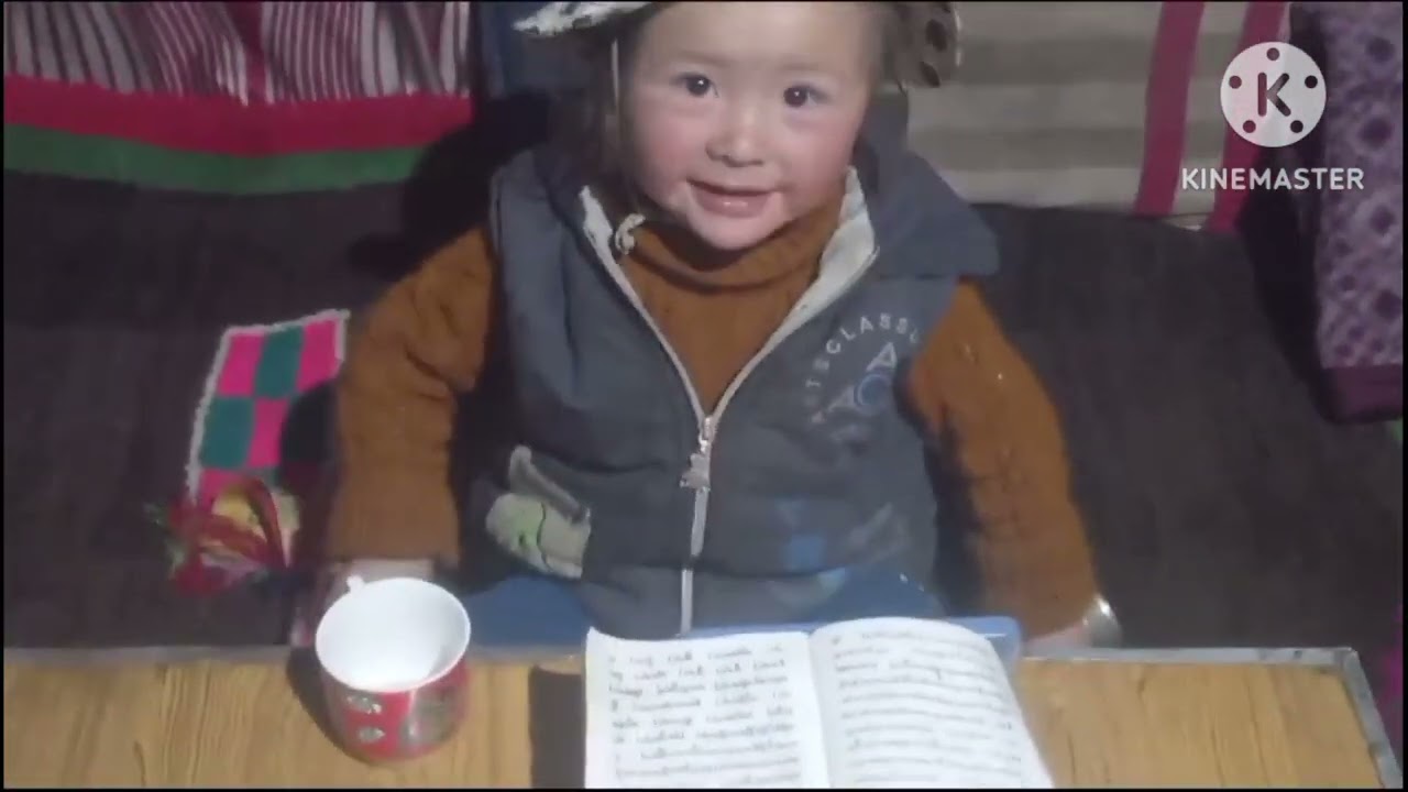 Reincarnation 10th kyabje langna Rinpoche