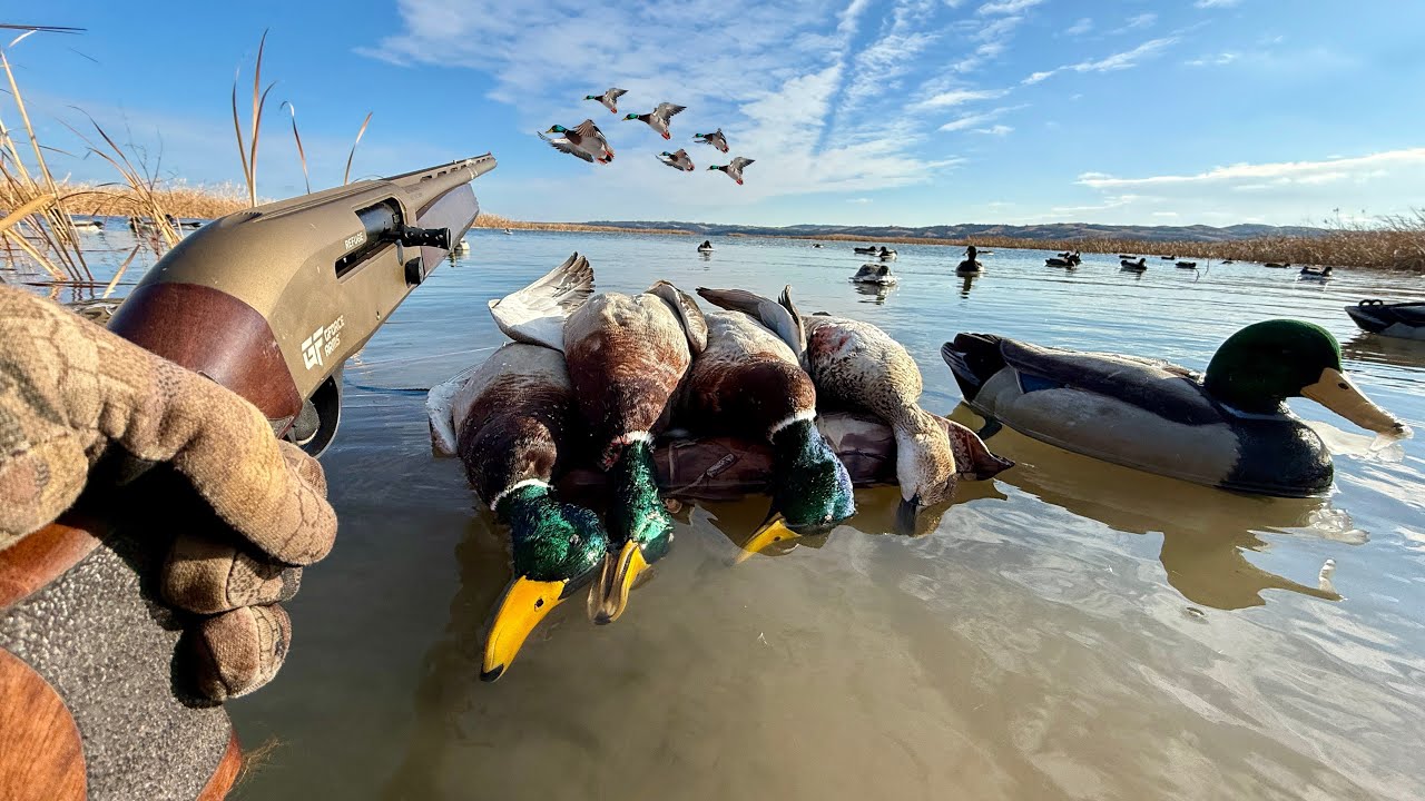 Insane Late Season River Duck Hunting! (Solo Limit)