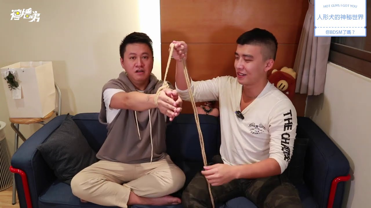 來主人抱抱！ 今晚我想來隻＿超萌人形犬！