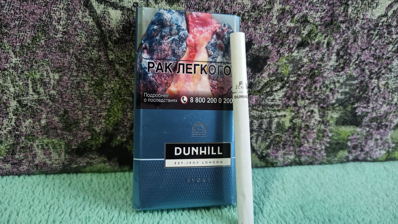 Обзор DUNHILL EVOKE