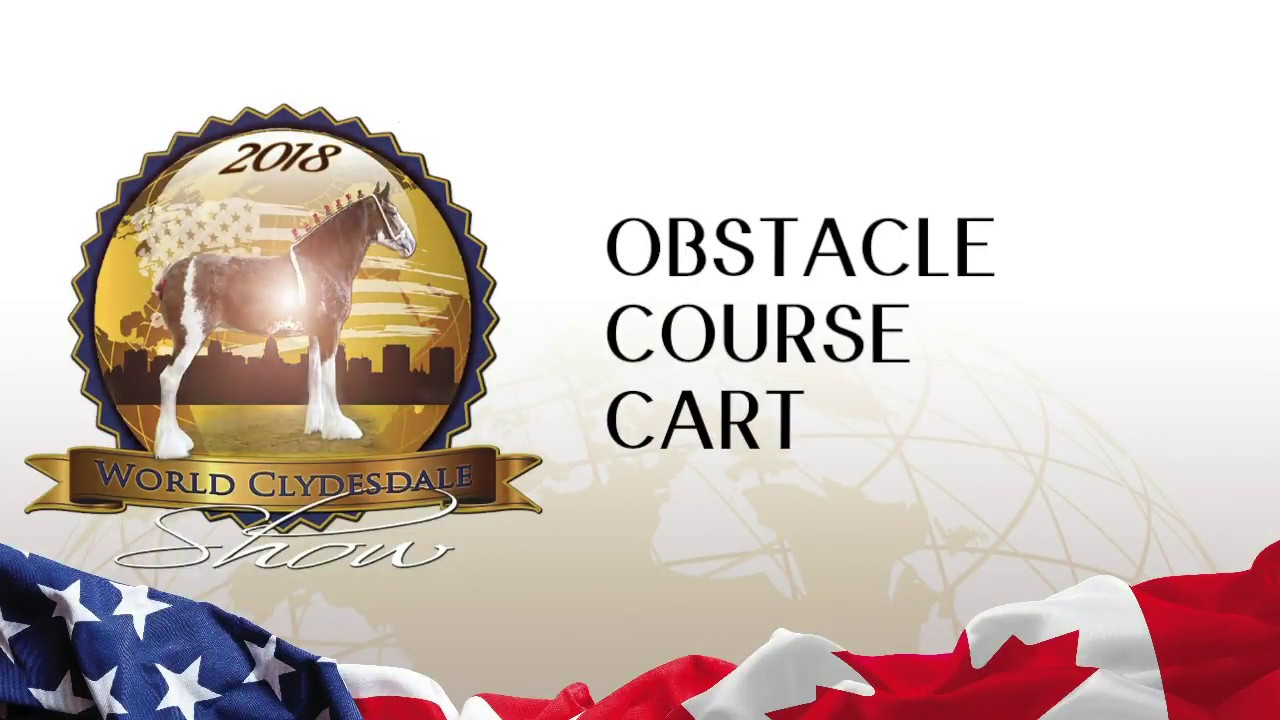OBSTACLE COURSE CART