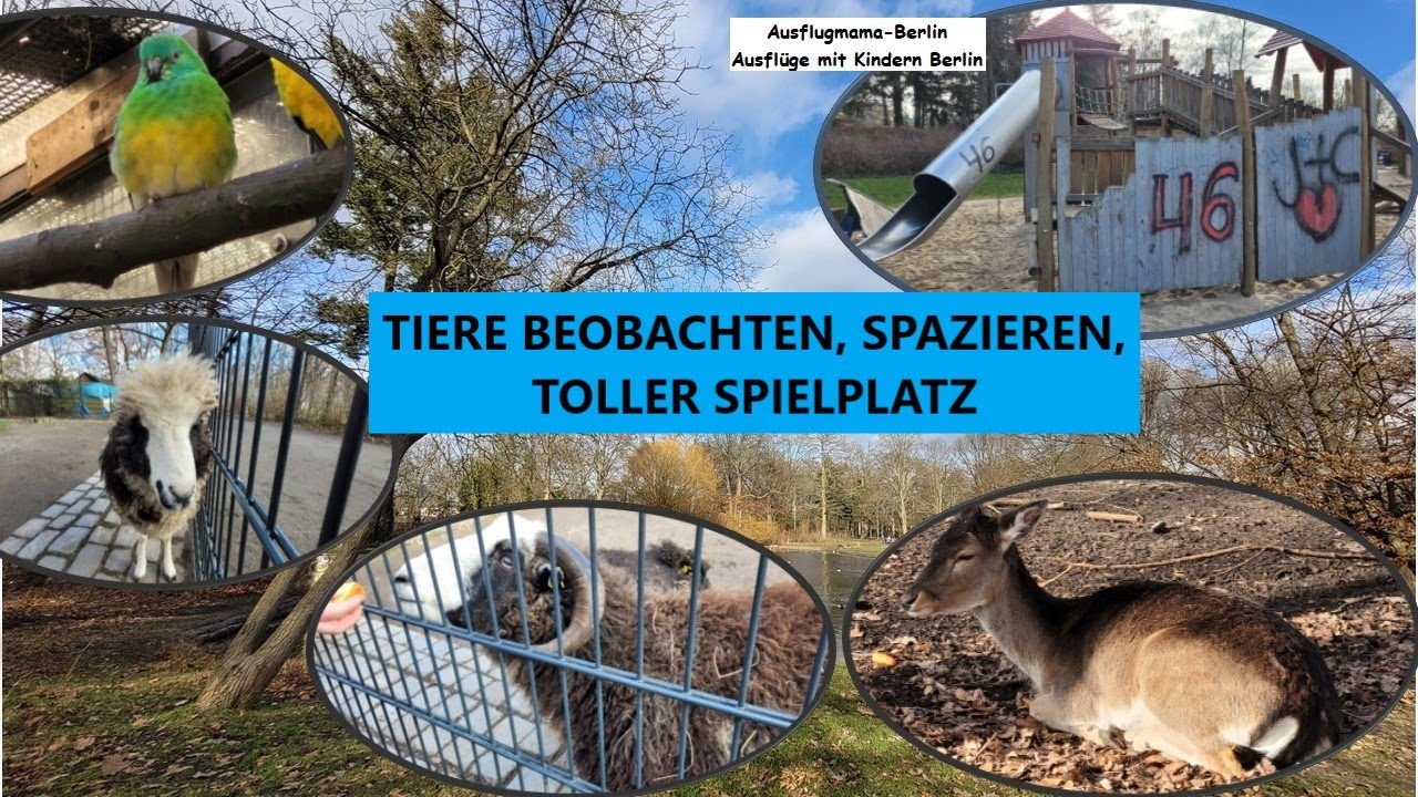 Wildtiergehege, Schafe, Ziegen, Hühner, Sittiche + großer Spielplatz im Gemeindepark Lankwitz