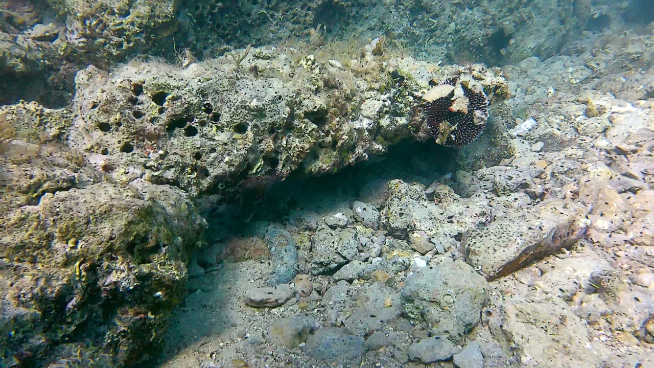 Tauchvideo first steps