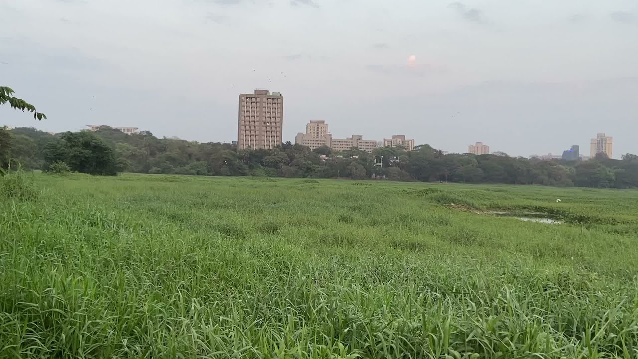 ❤️😍Powai Lake | 🔥🔥 IIT Bombay #IIT ❤️ #shorts