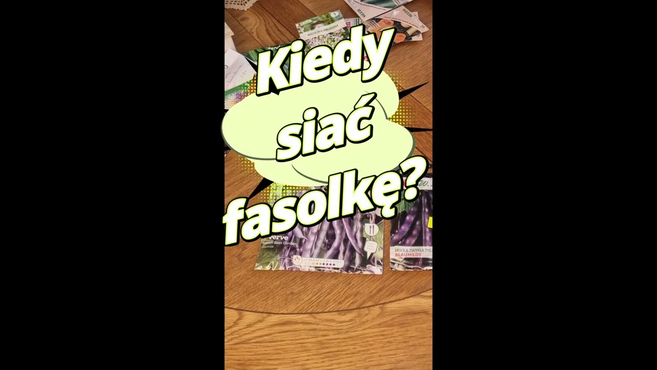 Kiedy siać fasolkę? Odmiana Blauhilde.