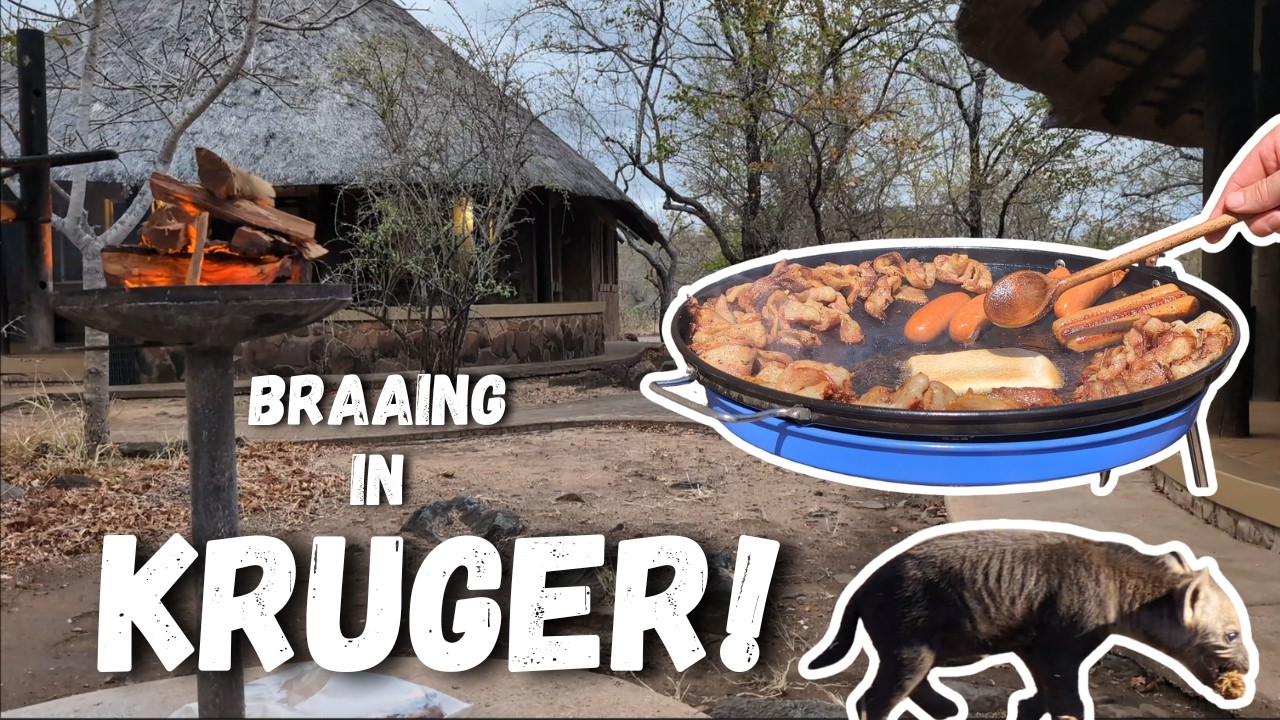 Incredible BRAAIS in the KRUGER PARK | Elephants Everywhere!