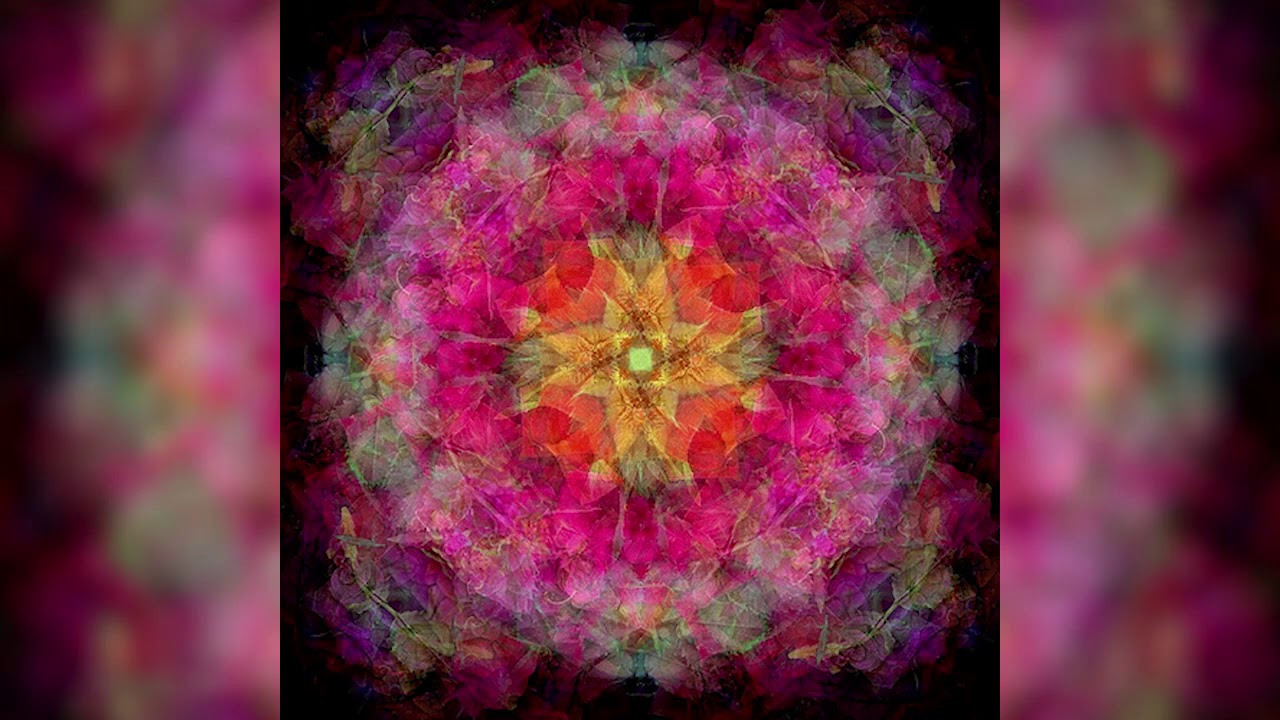 Joseph Goldstein – Insight Hour – Ep. 19 – The Cultivation of Metta