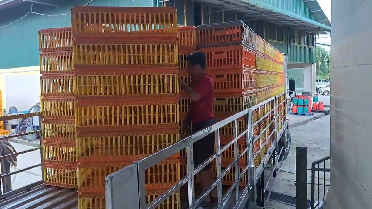 CHANNEL.IRUTSON.CARA NUSUN SANGKAR BA LORI