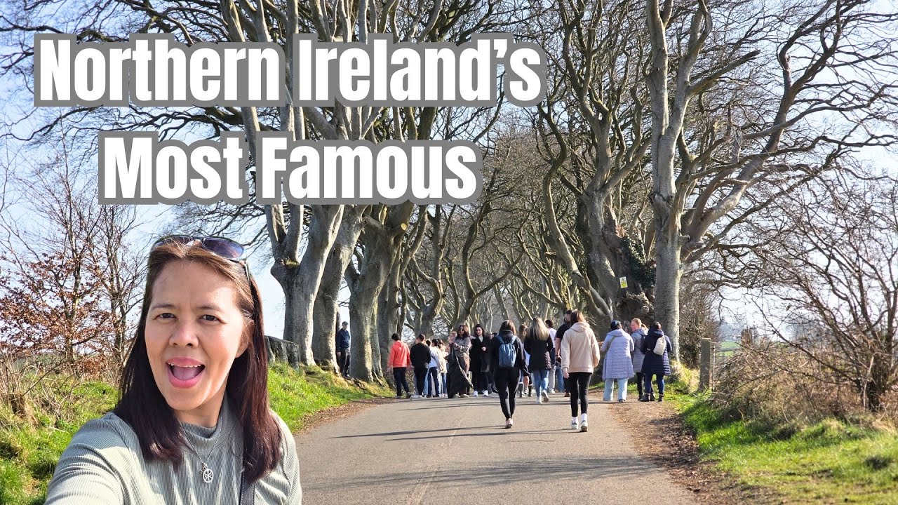Exploring Giant's Causeway & Dark Hedges | Must - See Northern Island Day Tour!