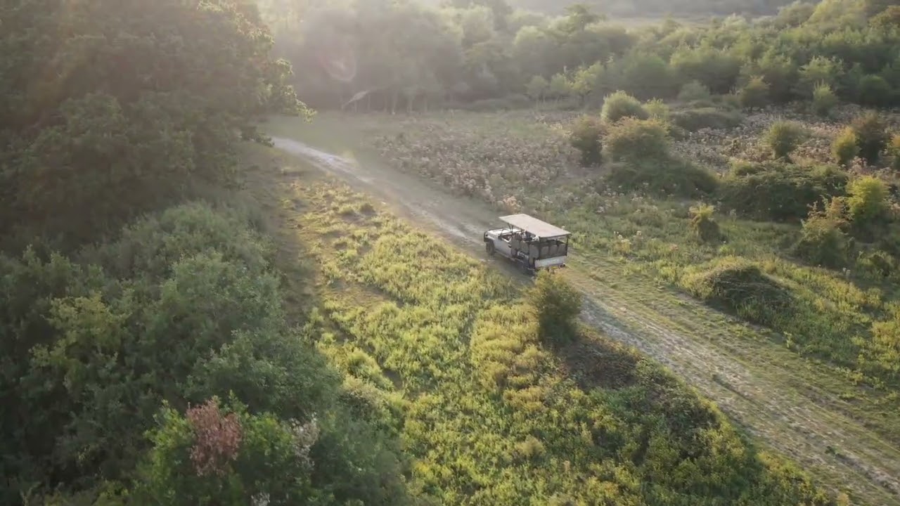 Toyota Safari
