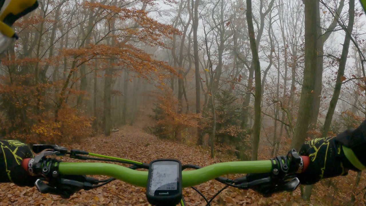 MTB Tour Walhalla Regensburg Dynamite Trail