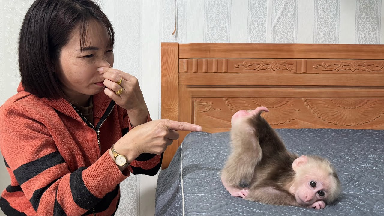 Monkey Abu asked Mom change diaper because stomachache!
