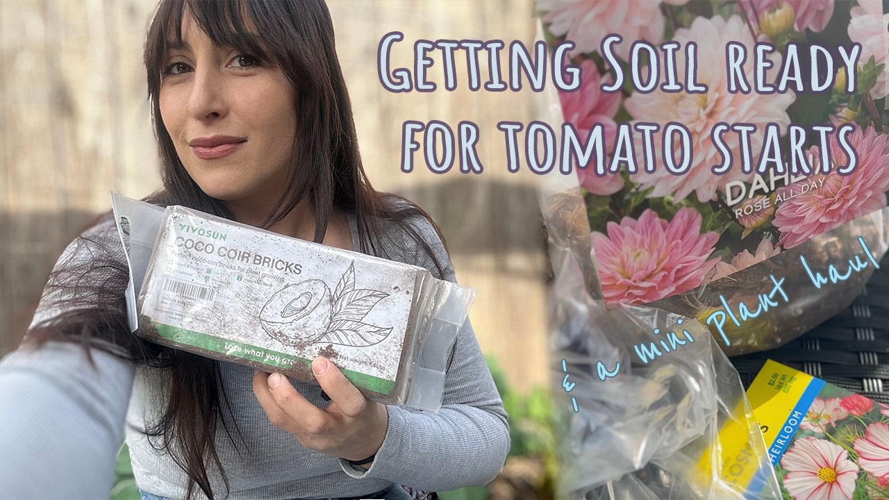 Growing and Potting Up Rhubarb Zone 9b | Plant Mini Haul & More Garden Work