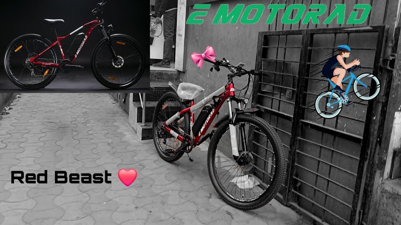 Taking Delivery Of Our Beast | Emotorad T Rex Air
