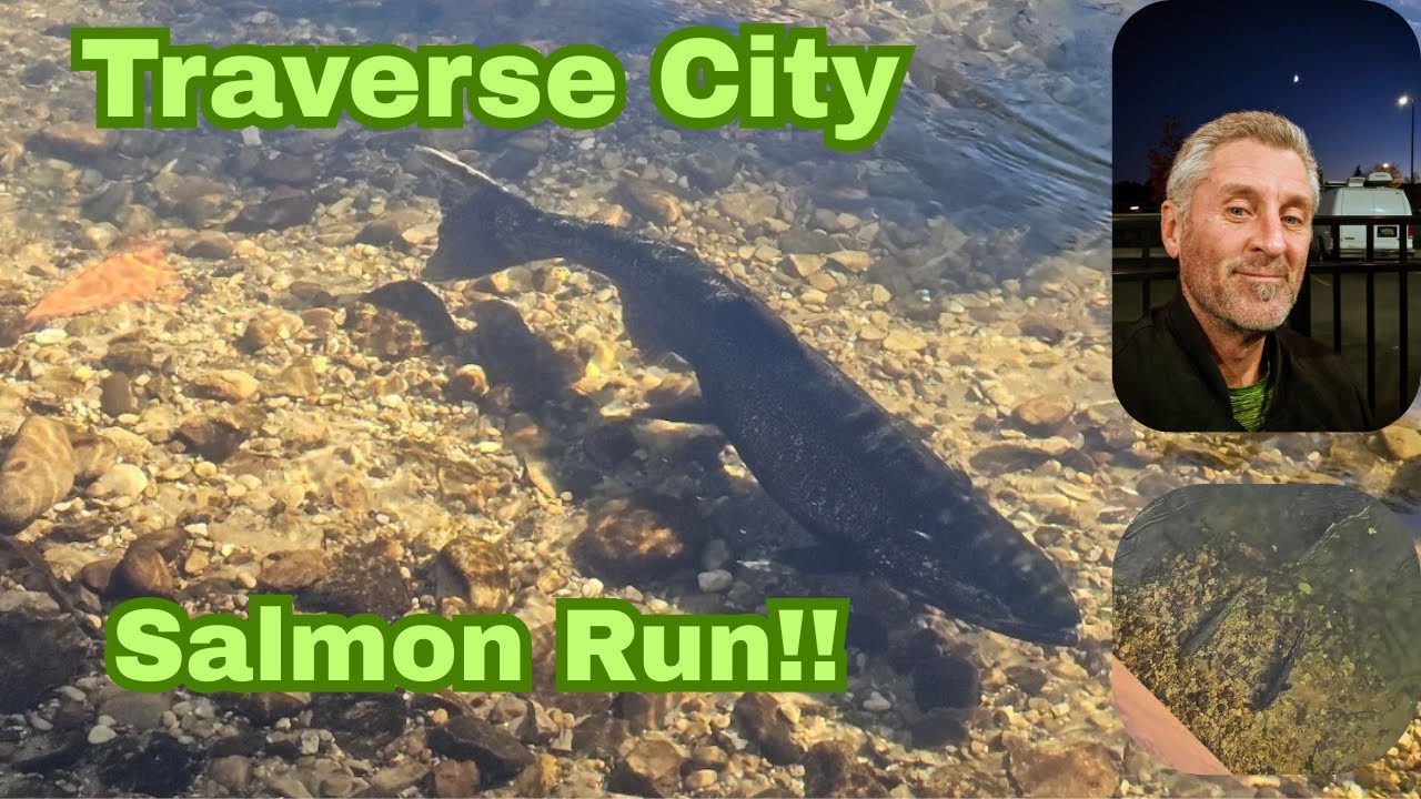 Traverse City(Lake Michigan) Salmon Run 2025!!