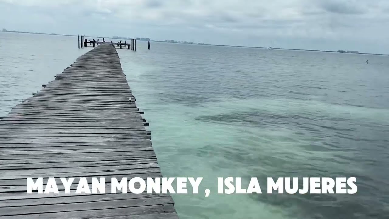 ISLA MUJERES! MEXICO!! Walk through Mayan Monkey, Isla Mujeres, Mexico. 