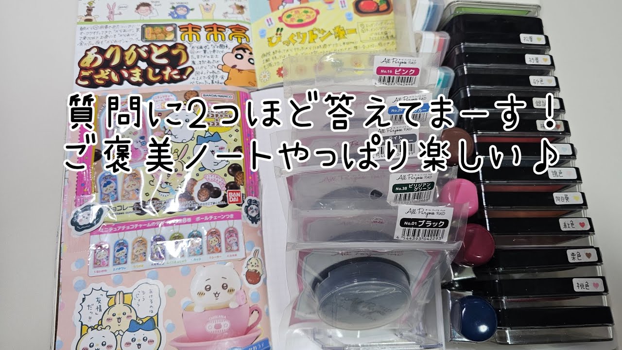 こむぎと、きり丸から始まります😆質問に答えてますが分かりにくかったら、また聞いてね🤗【声あり】
