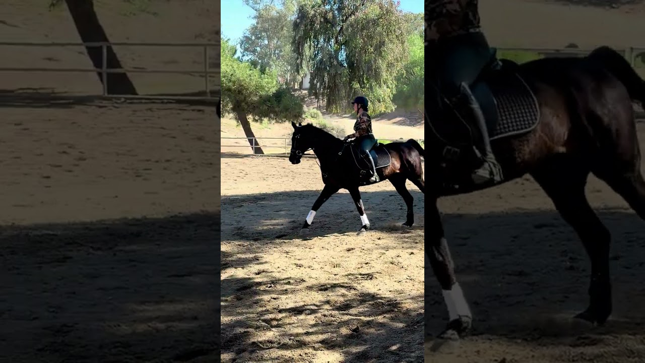 Strides Video #2