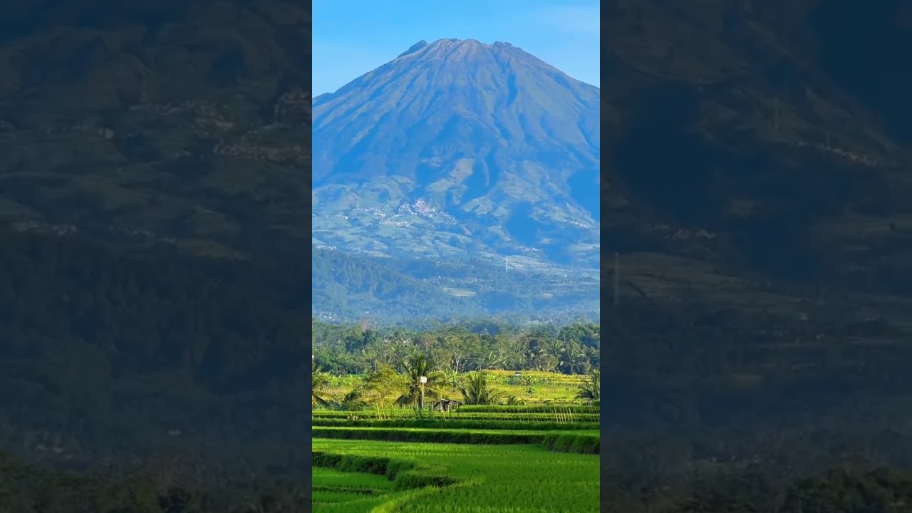 Dj MANGU TRAP TASSO X PARRY AC AUDIO LUMAJANG 