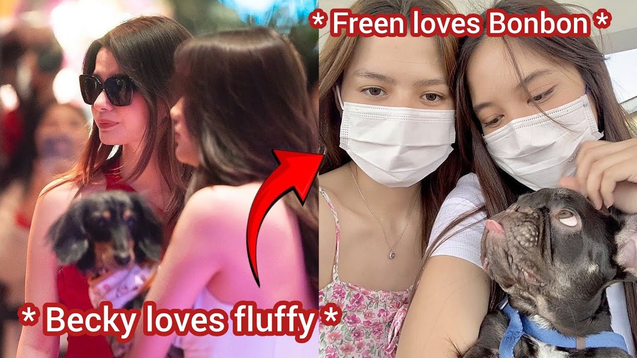 (FreenBeck) FREEN AND BECKY FINALLY INTRODUCED THEIR DOGS TO EACH OTHER!