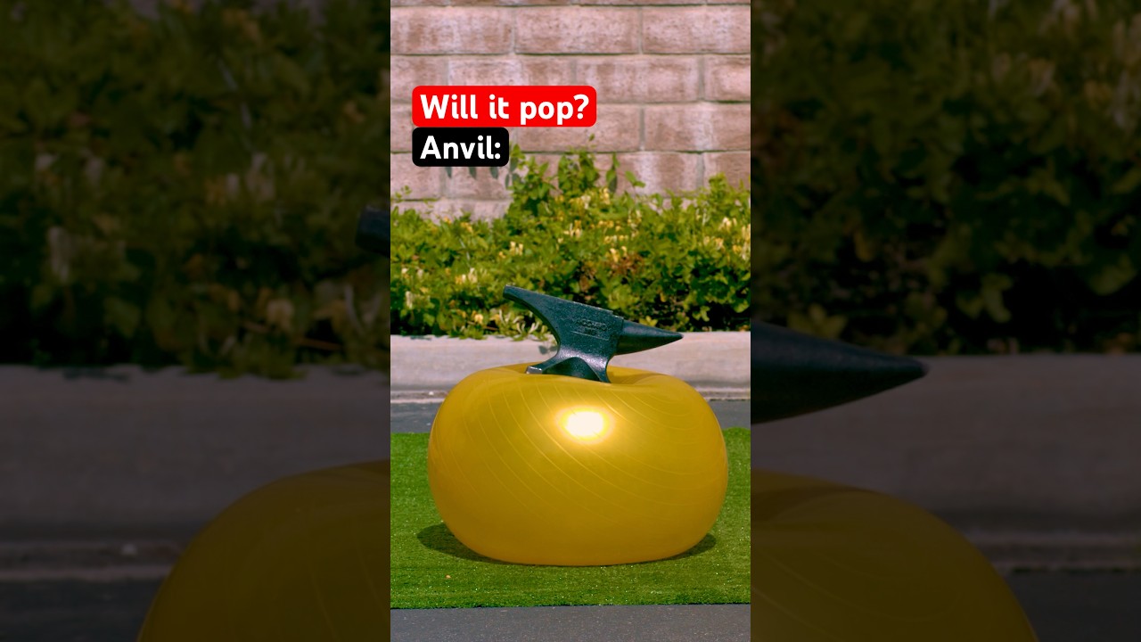 What pops a yoga ball? 🤔