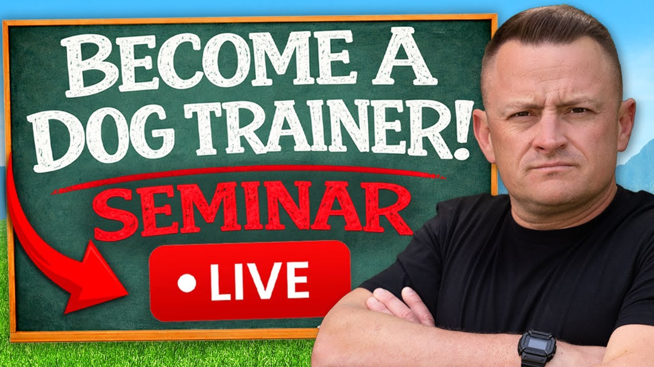 So You Want to Be a Dog Trainer? Watch This First (LIVE Q&A)