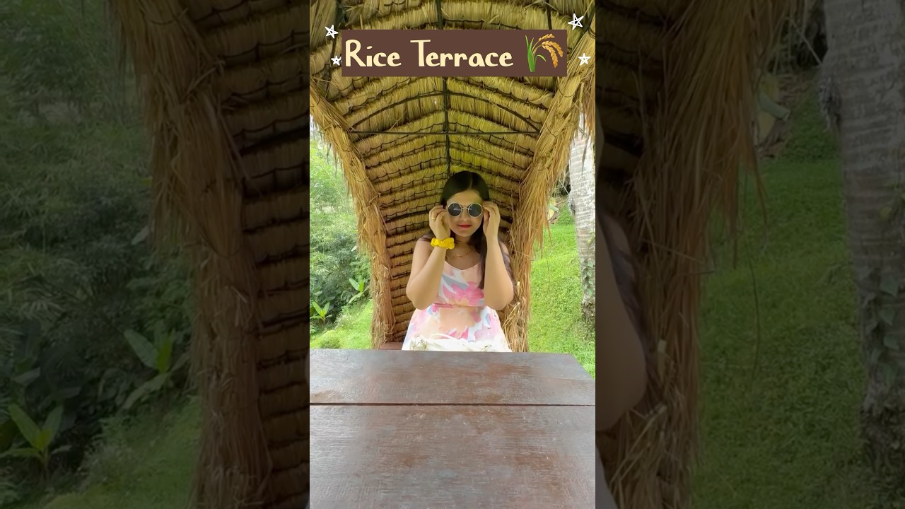Rice Terrace Bali 🌿#Ubud #RiceTerrace #NatureLovers #TravelVibes #Bali #Nature #Peace #shorts #Love