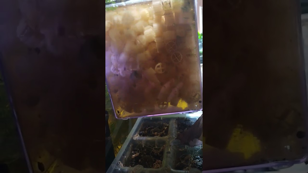 K1 Moving Bed filter