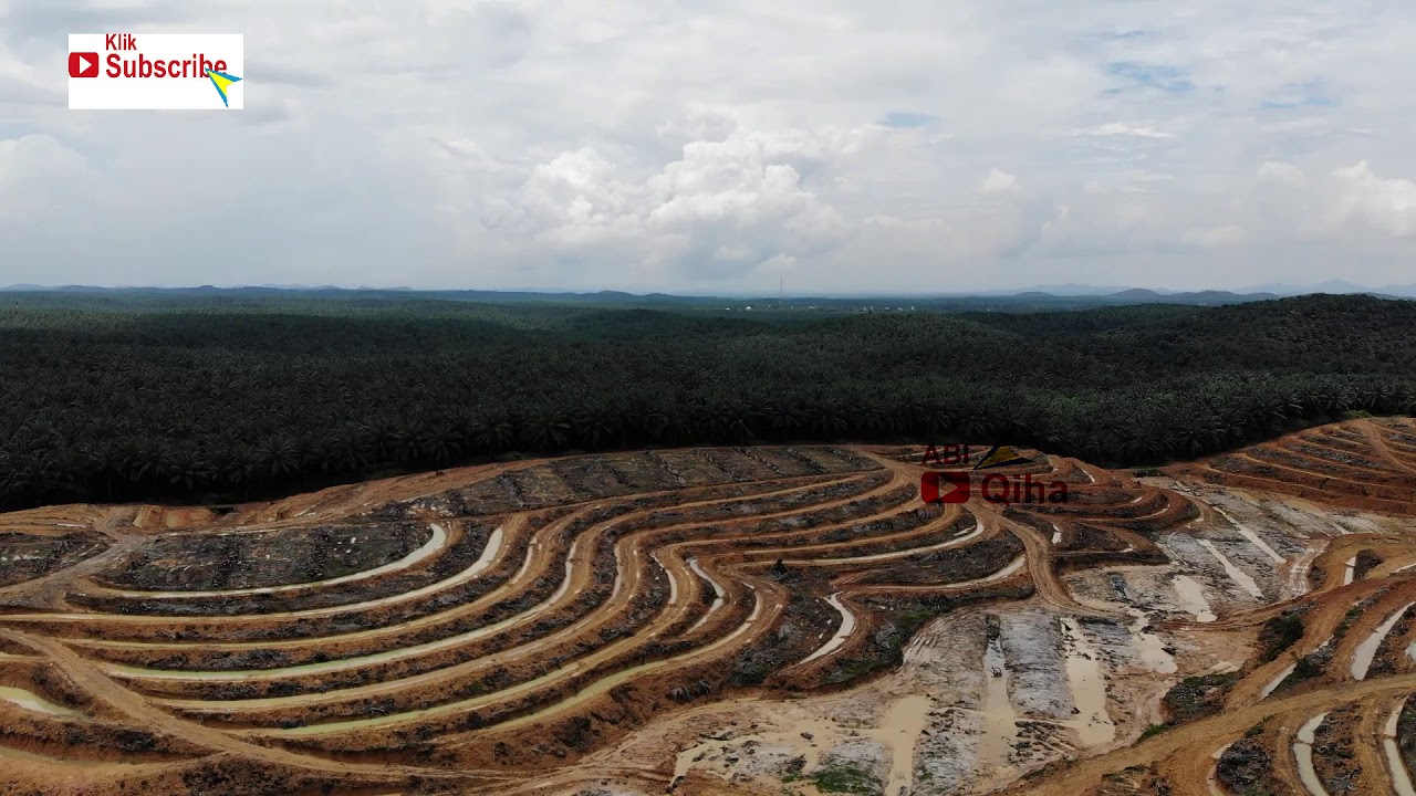 REPLANTING KELAPA SAWIT BY DJI MAVIC AIR