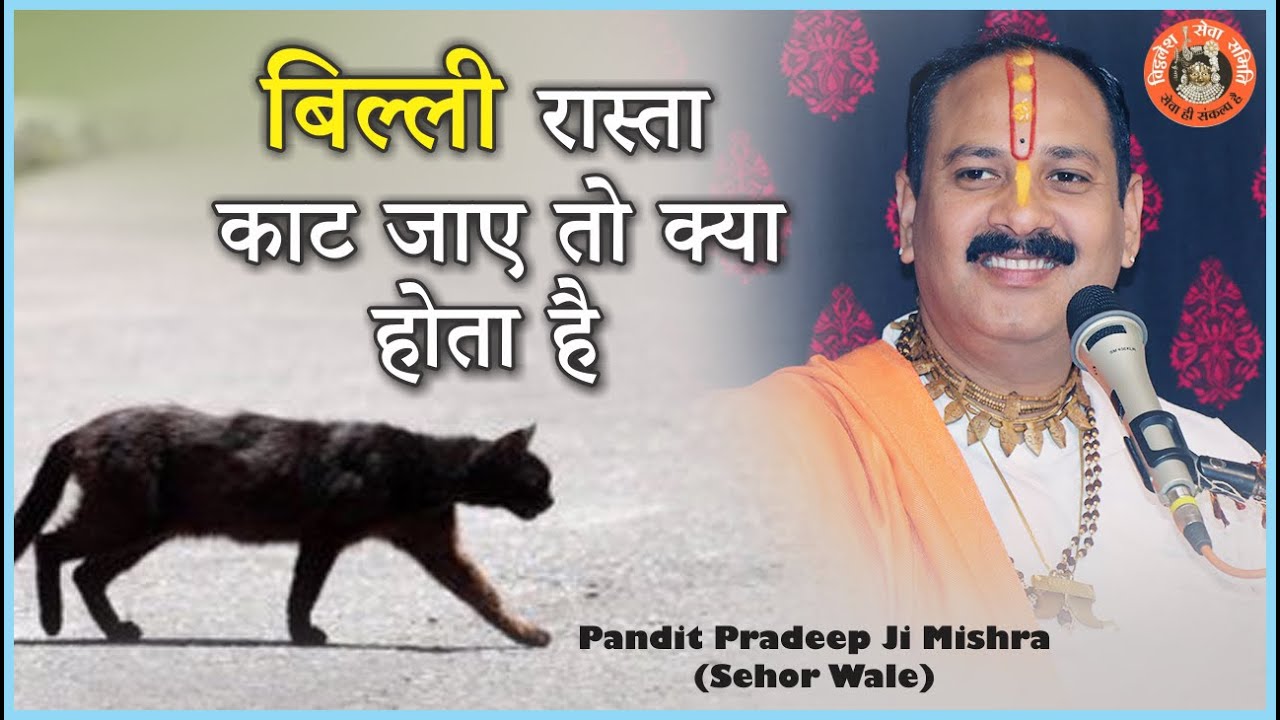 #बिल्ली रास्ता काट जाए तो क्या होता है #Pandit Pradeep Ji Mishra Sehor Wale