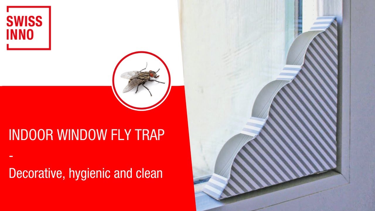 Window Fly Trap SWISSINNO