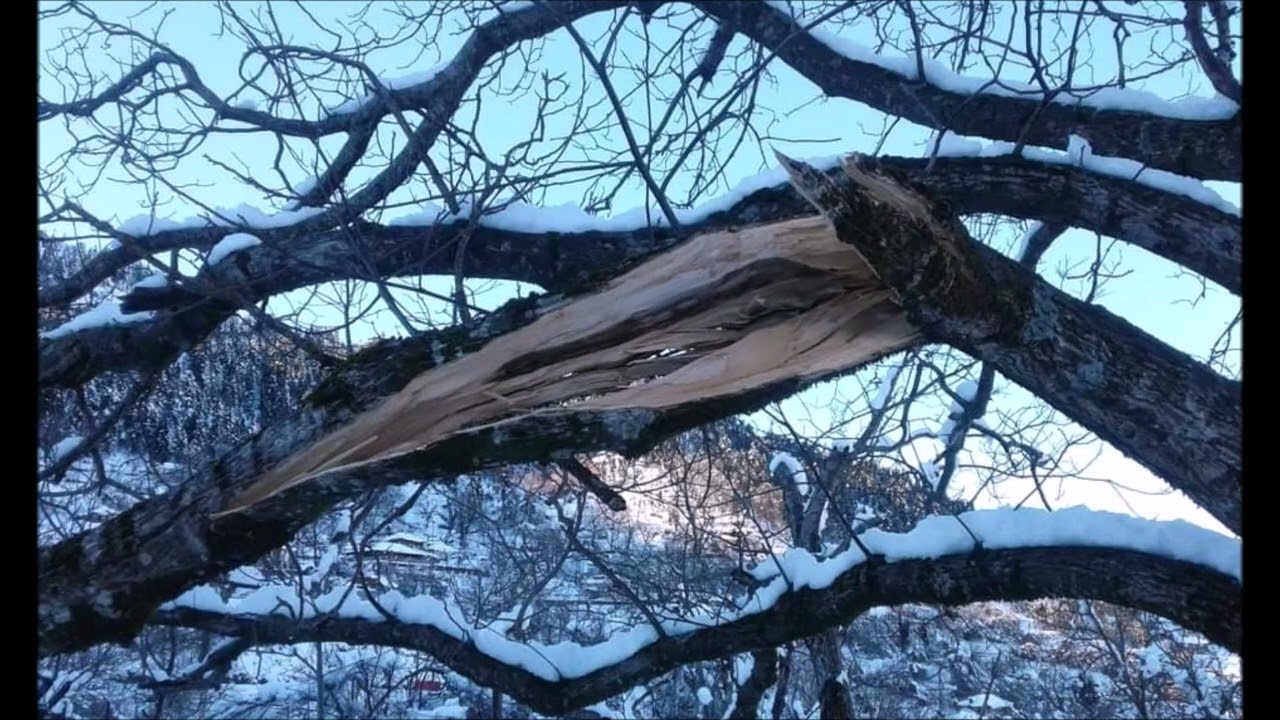 ΧΕΙΜΩΝΑΣ 2022   ΚΑΡΟΠΛΕΣΙ