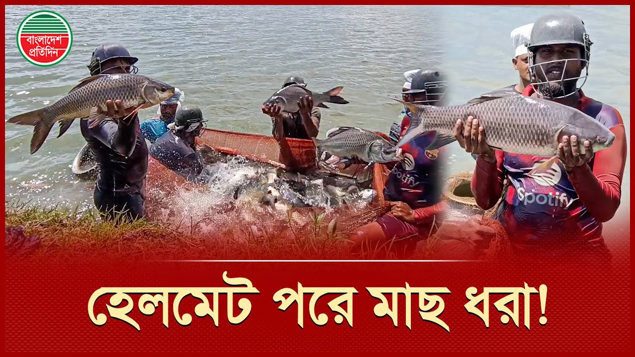 মাছ ধরতে হেলমেট আর সেফটি জ্যাকেট লাগে যেখানে! | Fish farm | Rajshahi News