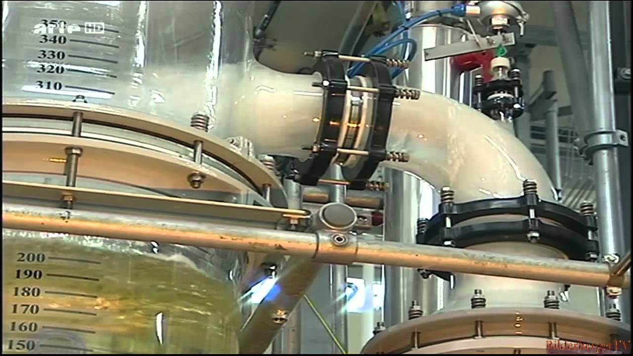 Phthalate - M&auml;nner vom Aussterben bedroht 4/4