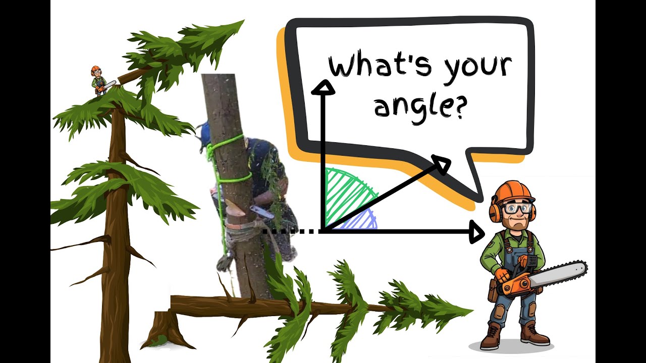 The Notch: How Angle Affects Function