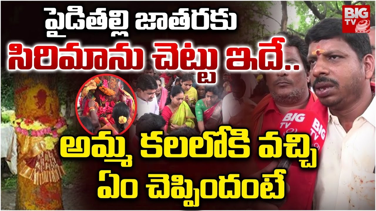 పైడితల్లి జాతరకు సిరిమాను చెట్టు ఇదే..| Pydithalli Ammavari Sirimanu Tree Relocation | Vizianagaram