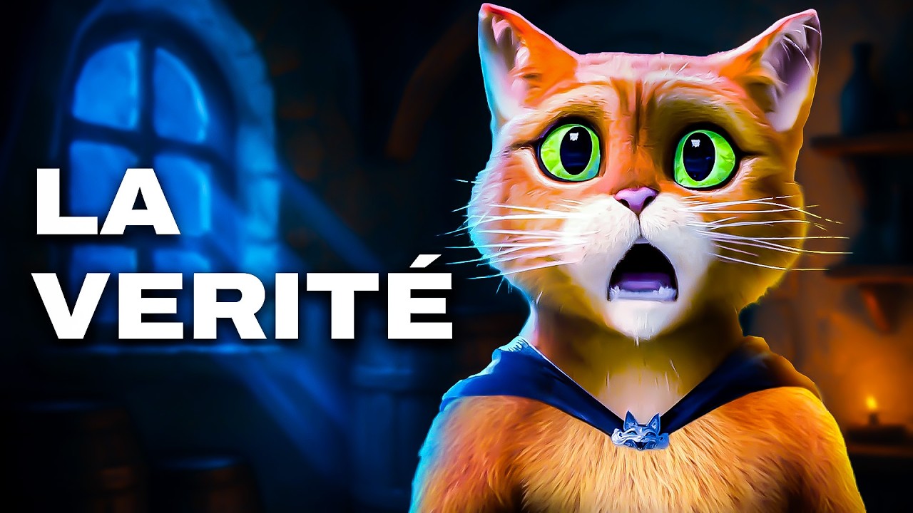 La VERITABLE HISTOIRE du Chat Pott&eacute;